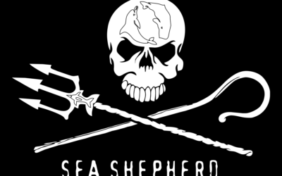 Sea Shepherd setzt bei Pressearbeit auf PressFile